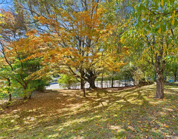 a view of yard with tree