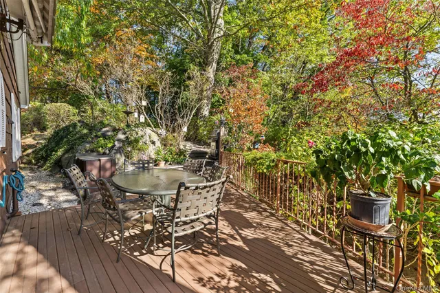 a view of a yard with plants and trees