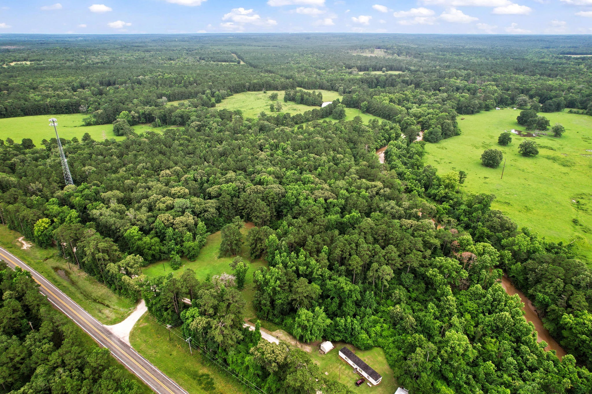 Tbd Ryan Ferry Road Point Blank, TX 77364 - Photo 32 of 34 a view of a lush green forest with trees and houses