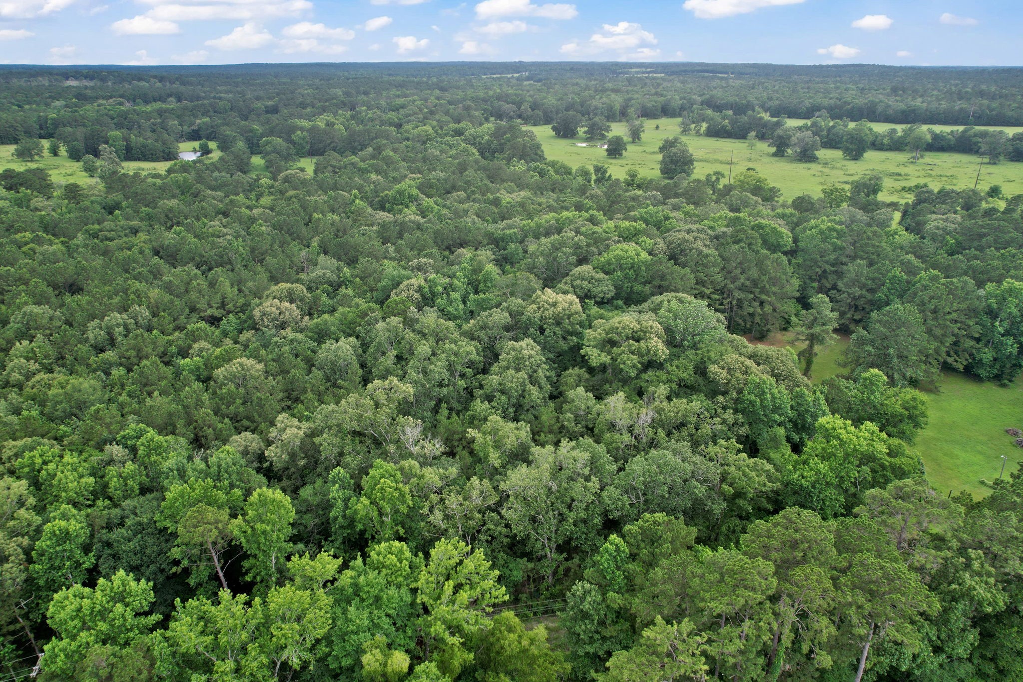 Tbd Ryan Ferry Road Point Blank, TX 77364 - Photo 6 of 34 an aerial view of a houses with a yard