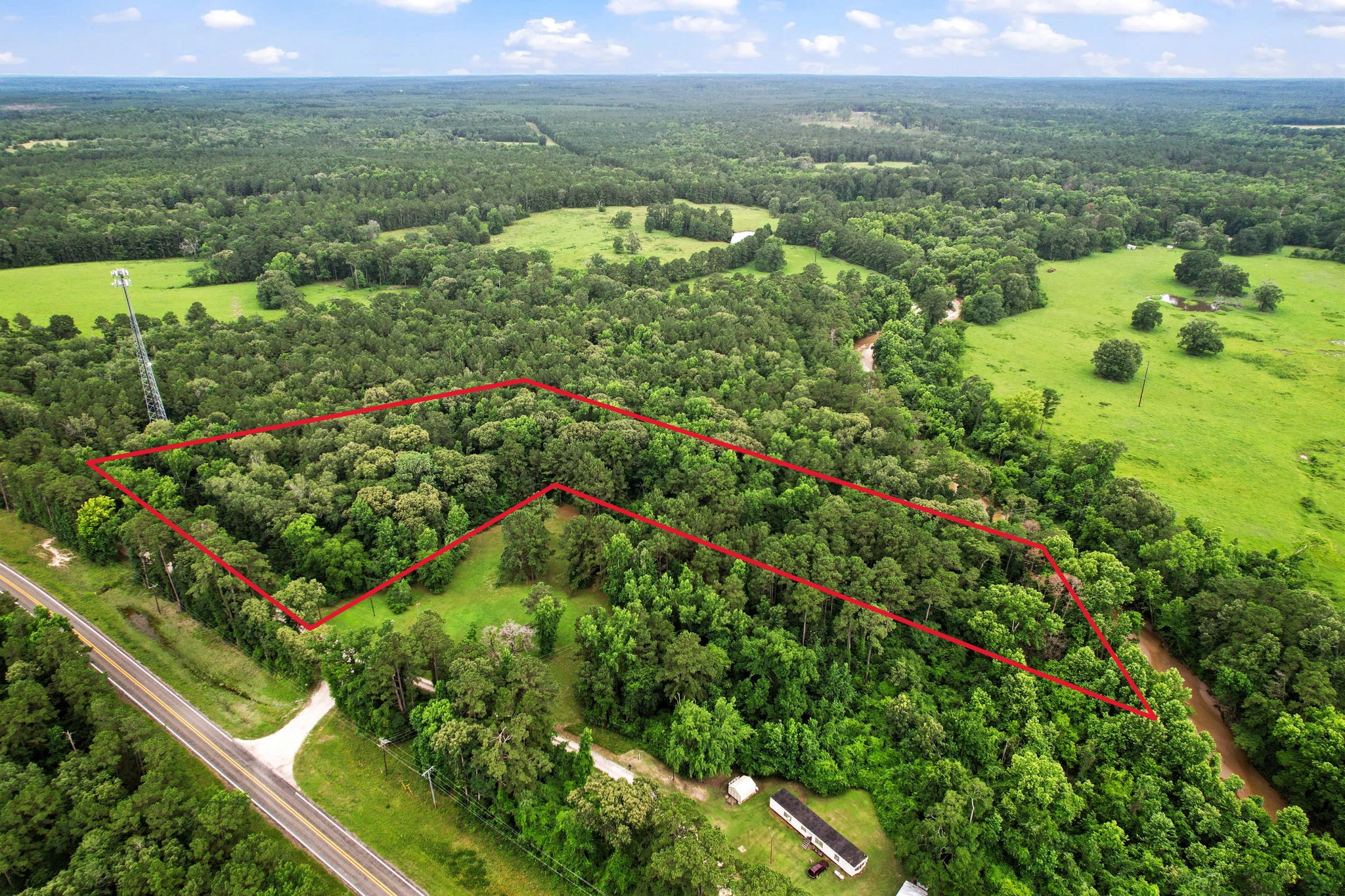 Tbd Ryan Ferry Road Point Blank, TX 77364 - Photo 10 of 34 a view of a lush green forest with trees and houses