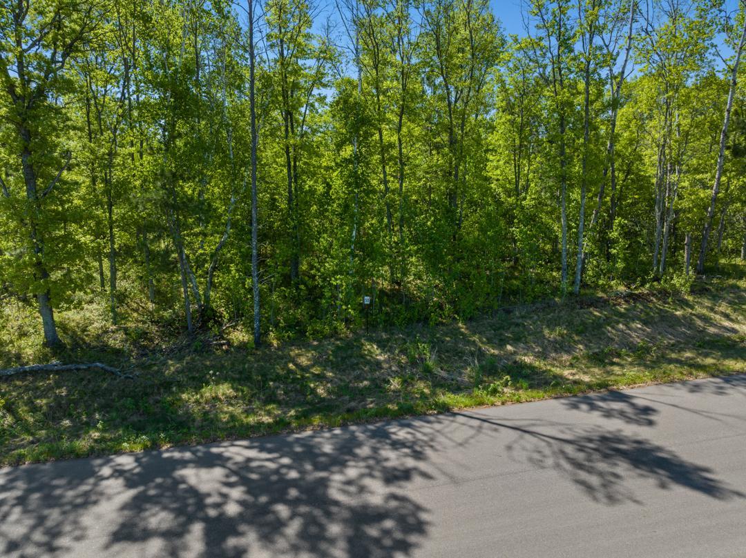 Craguns Legacy Ridge Lot 50-3899 Craguns Legacy Ridge Brainerd, MN 56401 - Photo 5 of 5