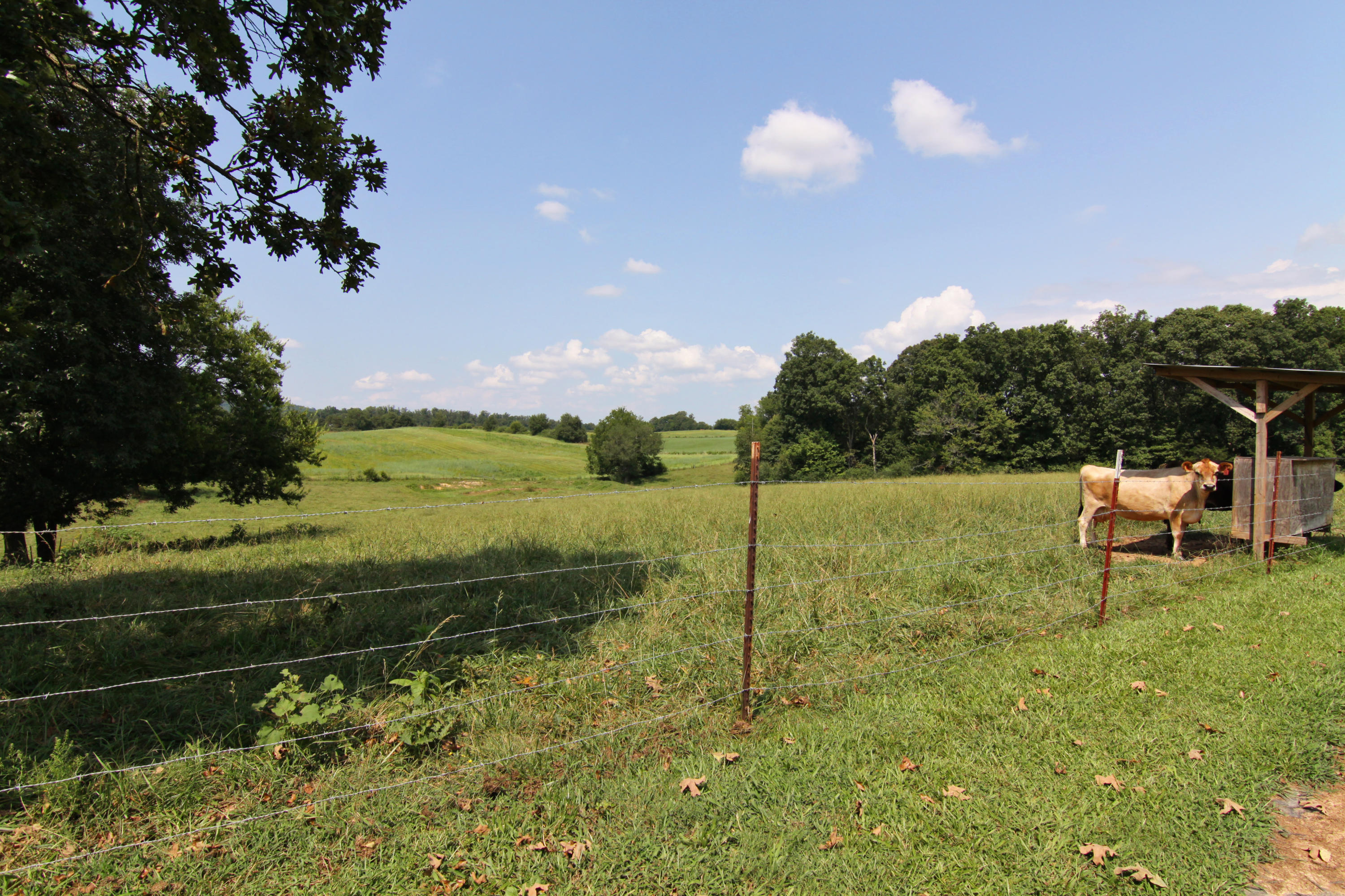 421 Brakebill School Road Madisonville, TN 37354 - Photo 23 of 23 Brakebill23