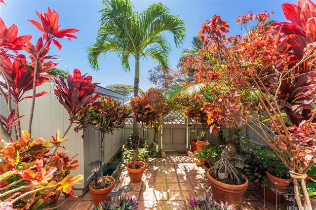a view of a backyard with plants and a garden