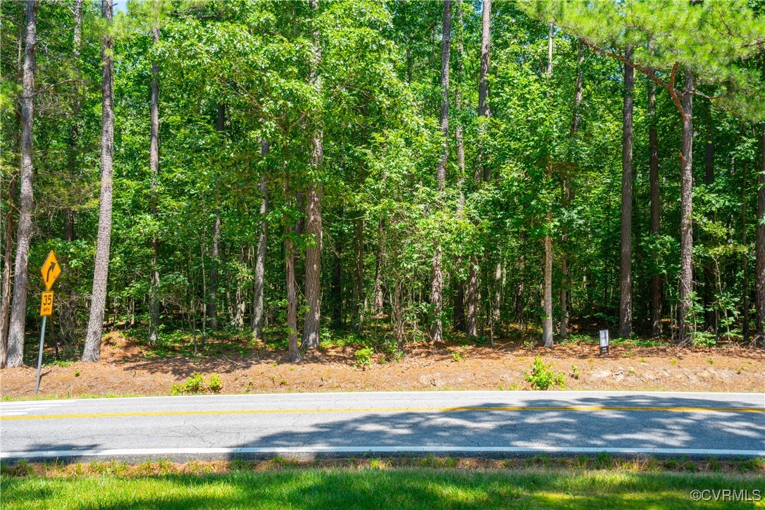 20118 River Road Chesterfield, VA 23838 - Photo 12 of 13 a view of a yard with plants and trees