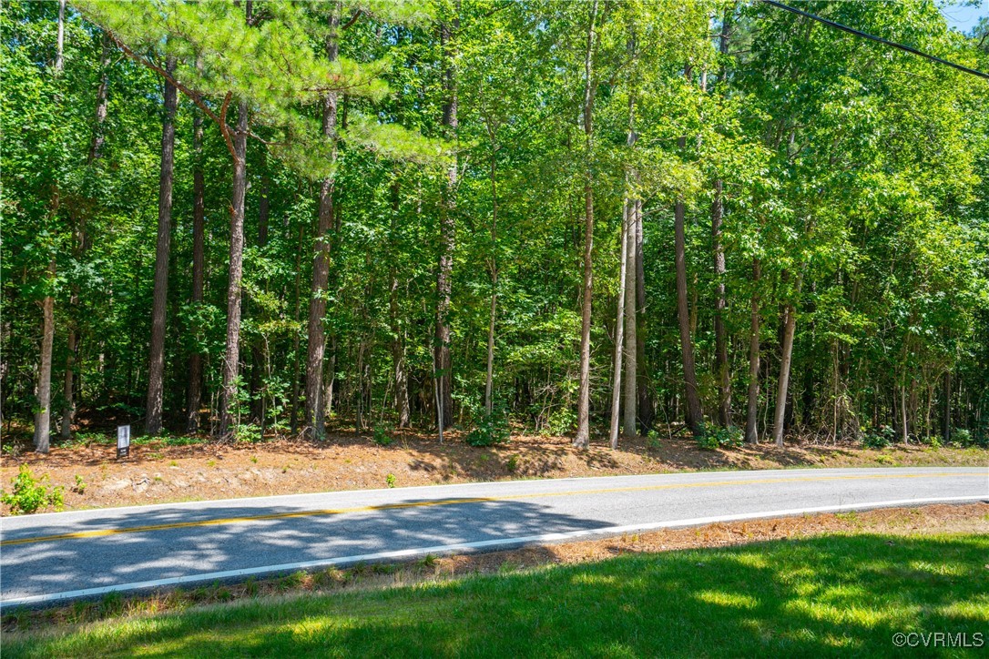 20118 River Road Chesterfield, VA 23838 - Photo 13 of 13 a view of a yard with large trees