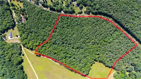 a view of a large yard with plants and large trees