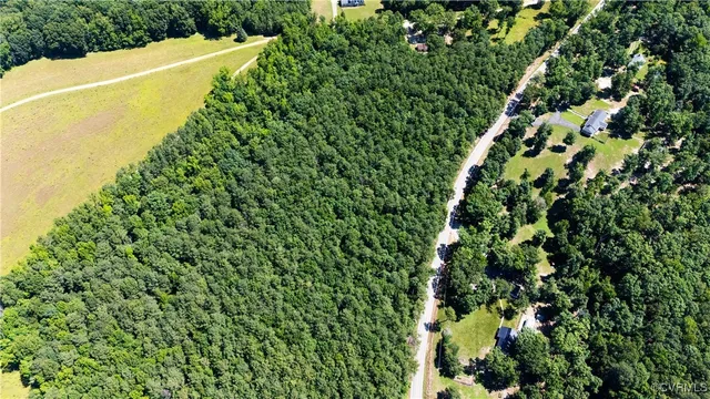 a close up of a plant in a garden