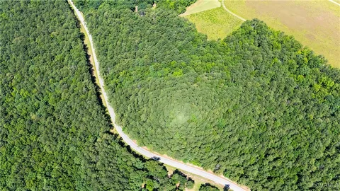 a view of a yard with plants
