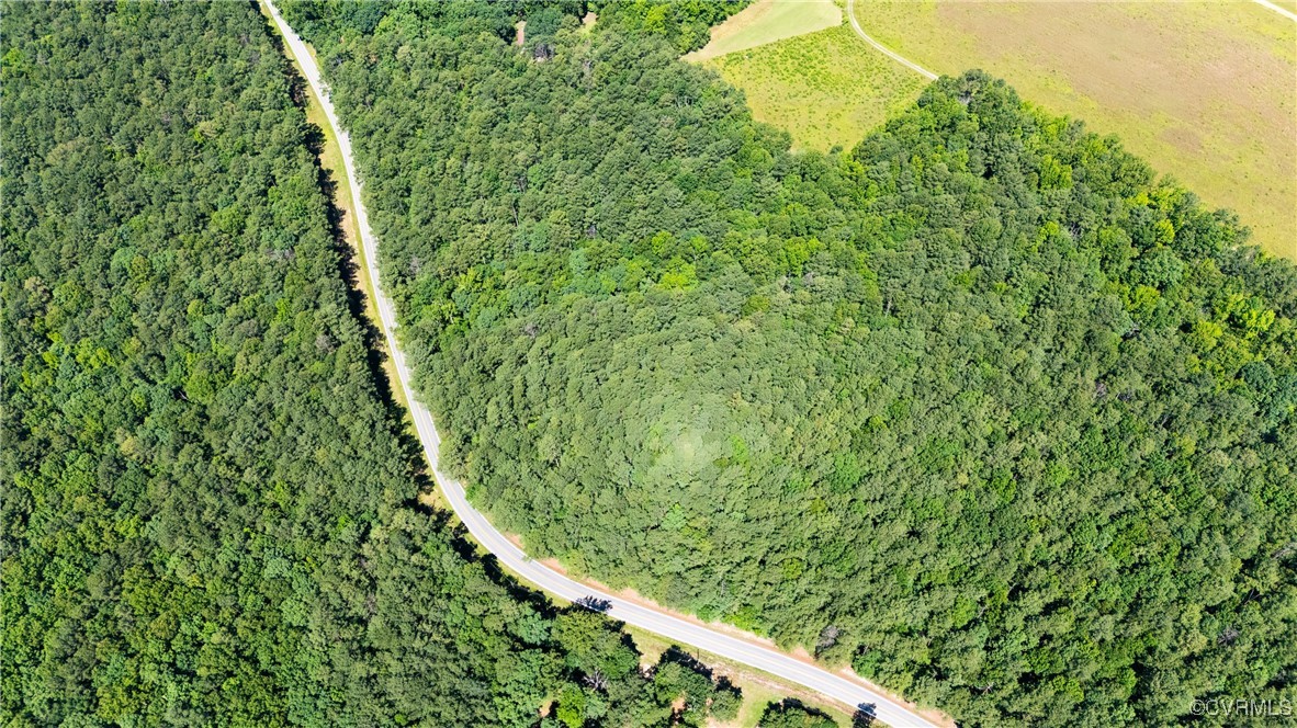 20118 River Road Chesterfield, VA 23838 - Photo 5 of 13 a close up of a plant in a garden