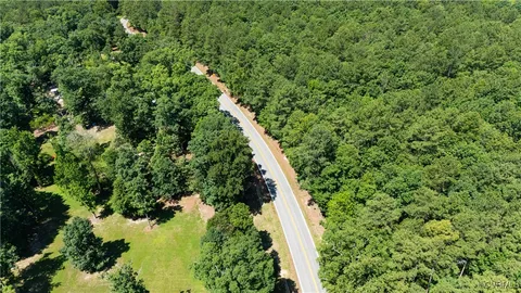 a view of a lush green forest with a tree