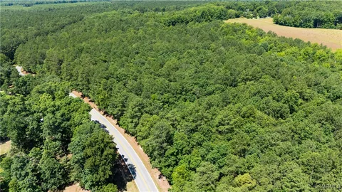 a view of a yard with plants and large trees