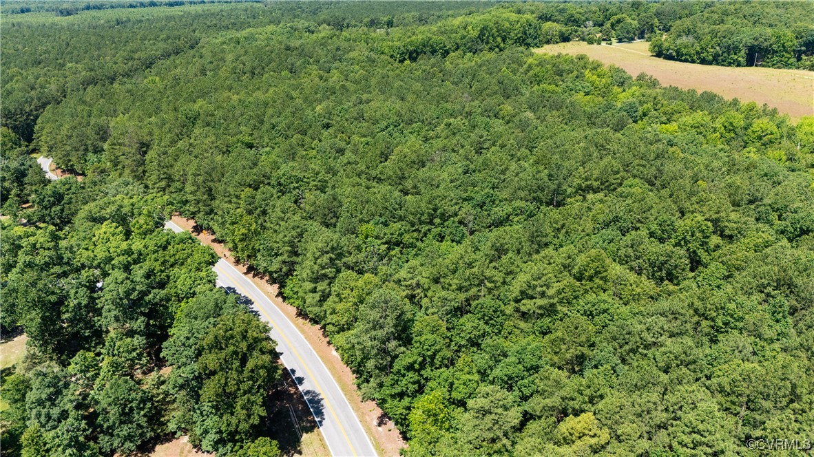 20118 River Road Chesterfield, VA 23838 - Photo 7 of 13 a view of a lush green forest with a tree