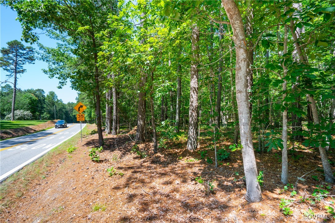 20118 River Road Chesterfield, VA 23838 - Photo 10 of 13 a view of a park with plants and trees