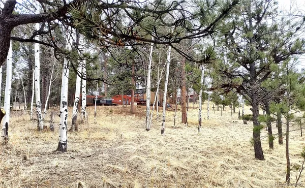 $162,500 | 103 Adair Circle, Florissant, CO 80816