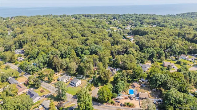 a view of a green field with lots of bushes