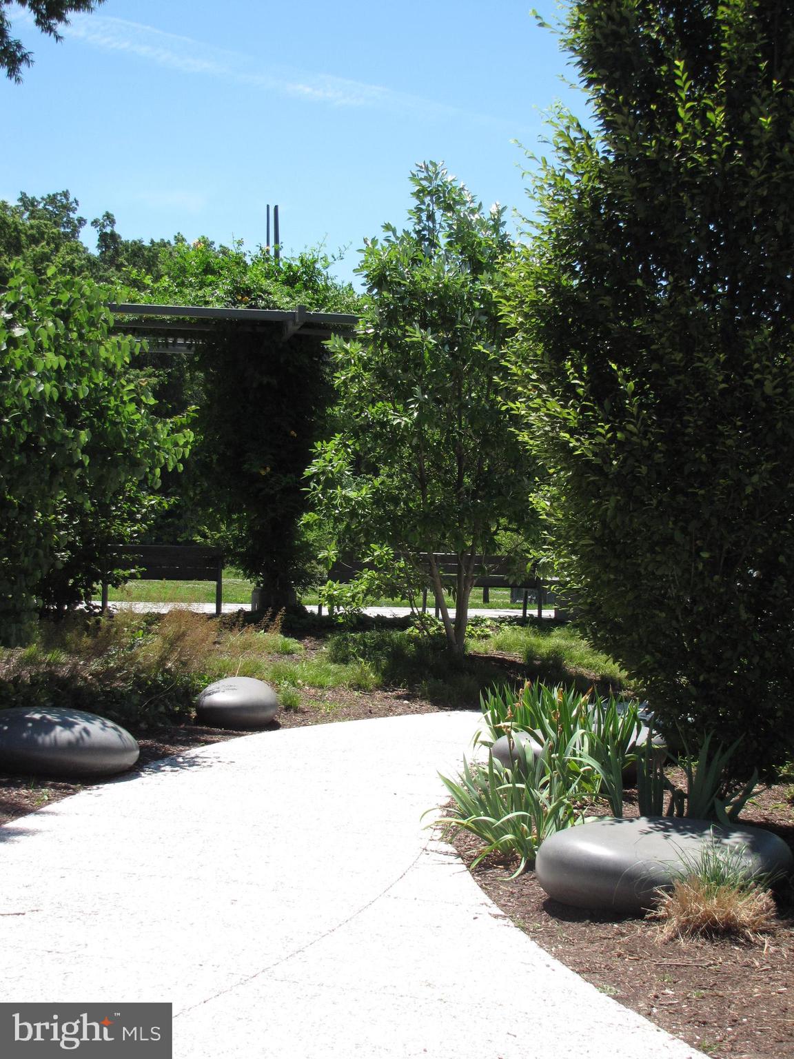 525 Water Street Southwest, Unit 404 Washington, DC 20024 - Photo 20 of 31 The Park.