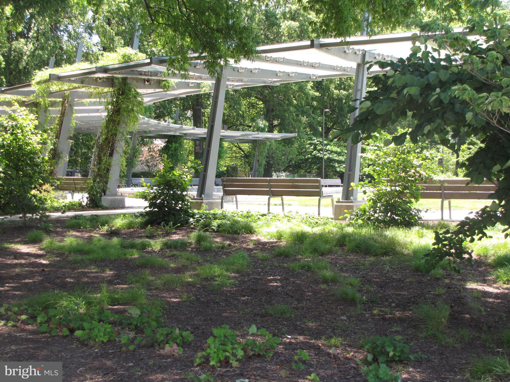 525 Water Street Southwest, Unit 404 Washington, DC 20024 - Photo 21 of 31 Ahhh, serenity outdoors.