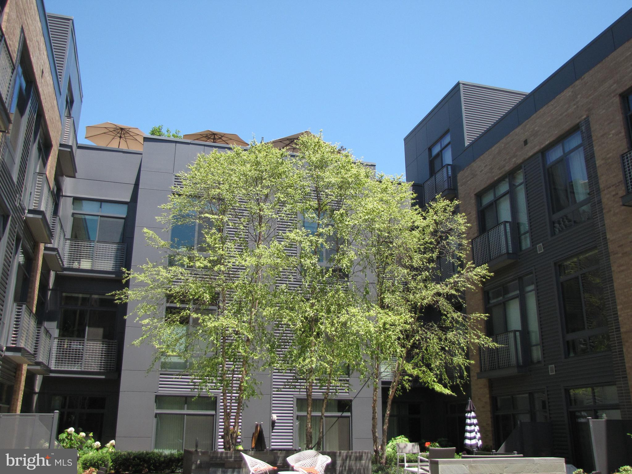 525 Water Street Southwest, Unit 404 Washington, DC 20024 - Photo 23 of 31 Read a book beneath the lovely tree.....