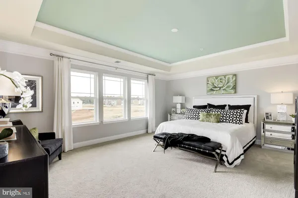 a front view of a house with a yard and trees