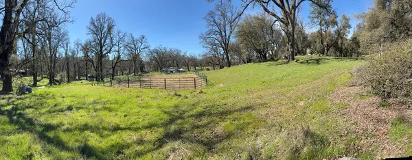 a view of outdoor space with garden and trees