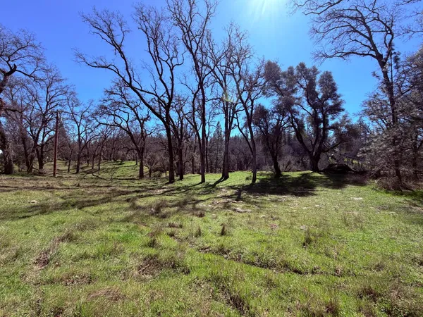 a view of a backyard with wooden fence and a large tree