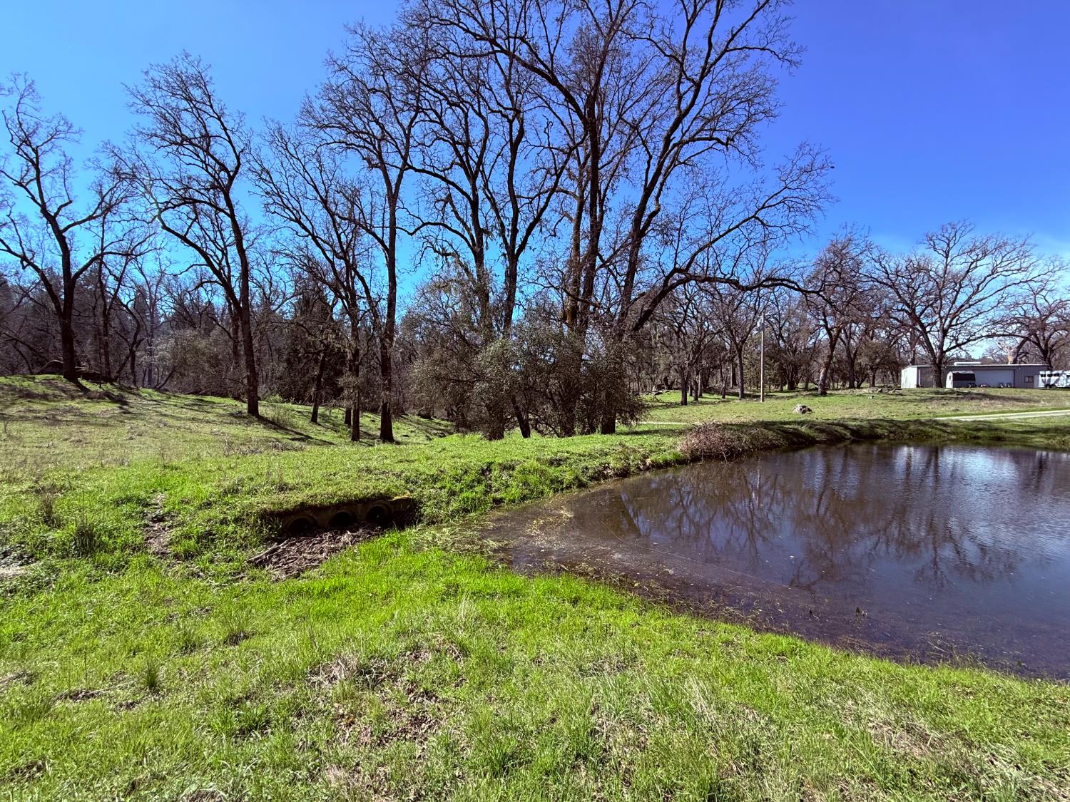 2901 Cedar Creek Road Somerset, CA 95684 - Photo 17 of 56