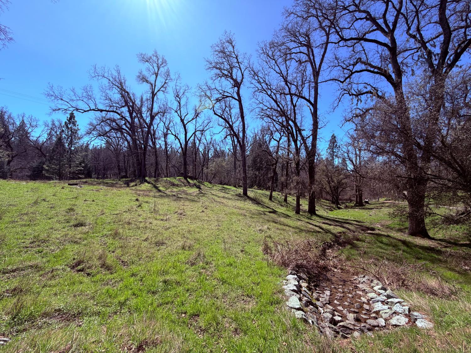 2901 Cedar Creek Road Somerset, CA 95684 - Photo 20 of 56 a view of a backyard with large trees