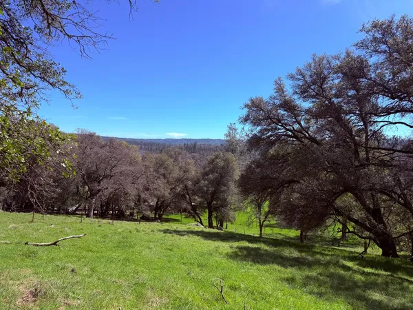 a view of a field with trees in the background