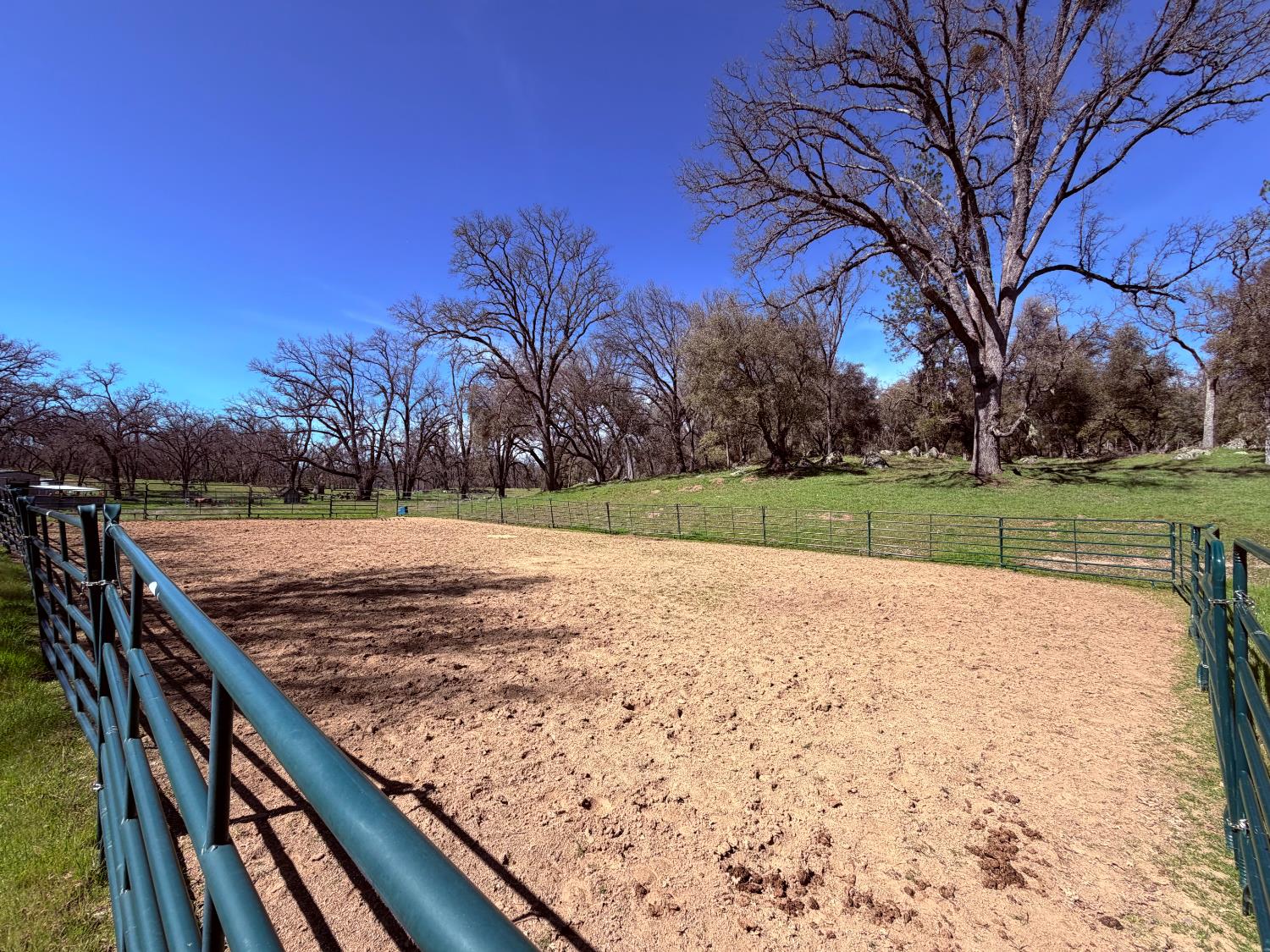 2901 Cedar Creek Road Somerset, CA 95684 - Photo 26 of 56 a view of outdoor space with trees