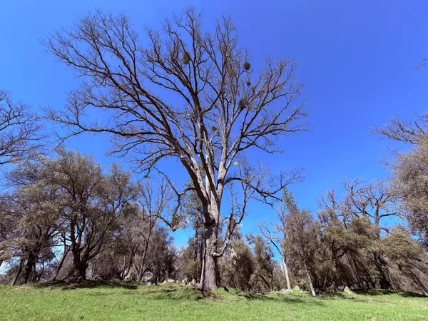 $600,000 | 2901 Cedar Creek Road, Somerset, CA 95684