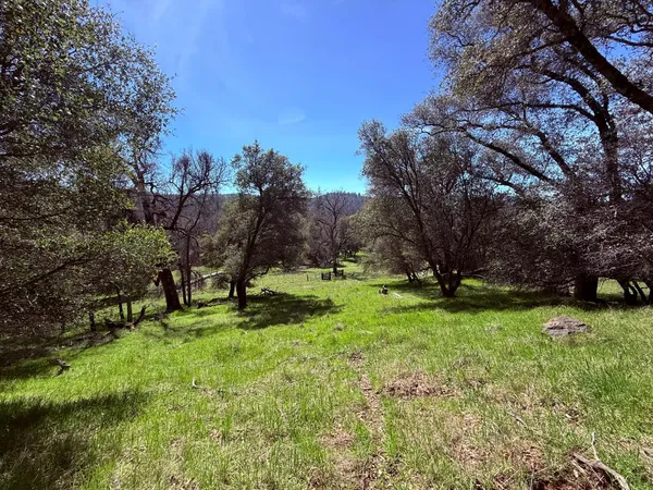 a view of backyard with green space