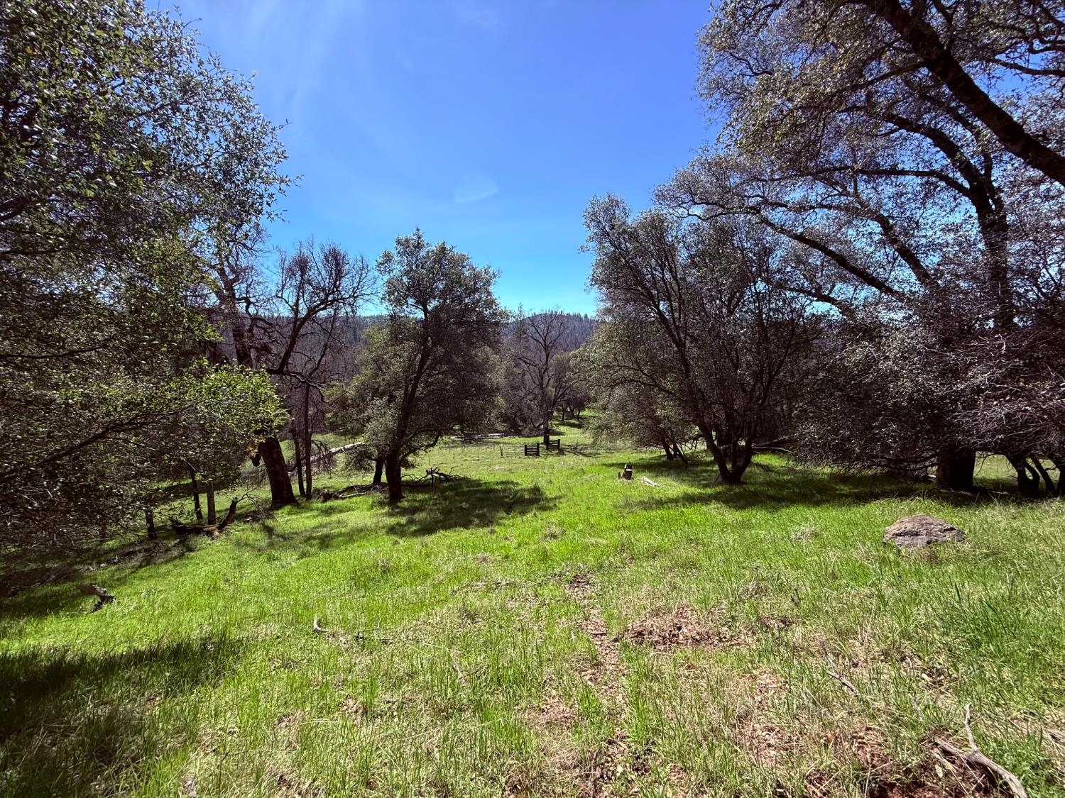 2901 Cedar Creek Road Somerset, CA 95684 - Photo 3 of 56