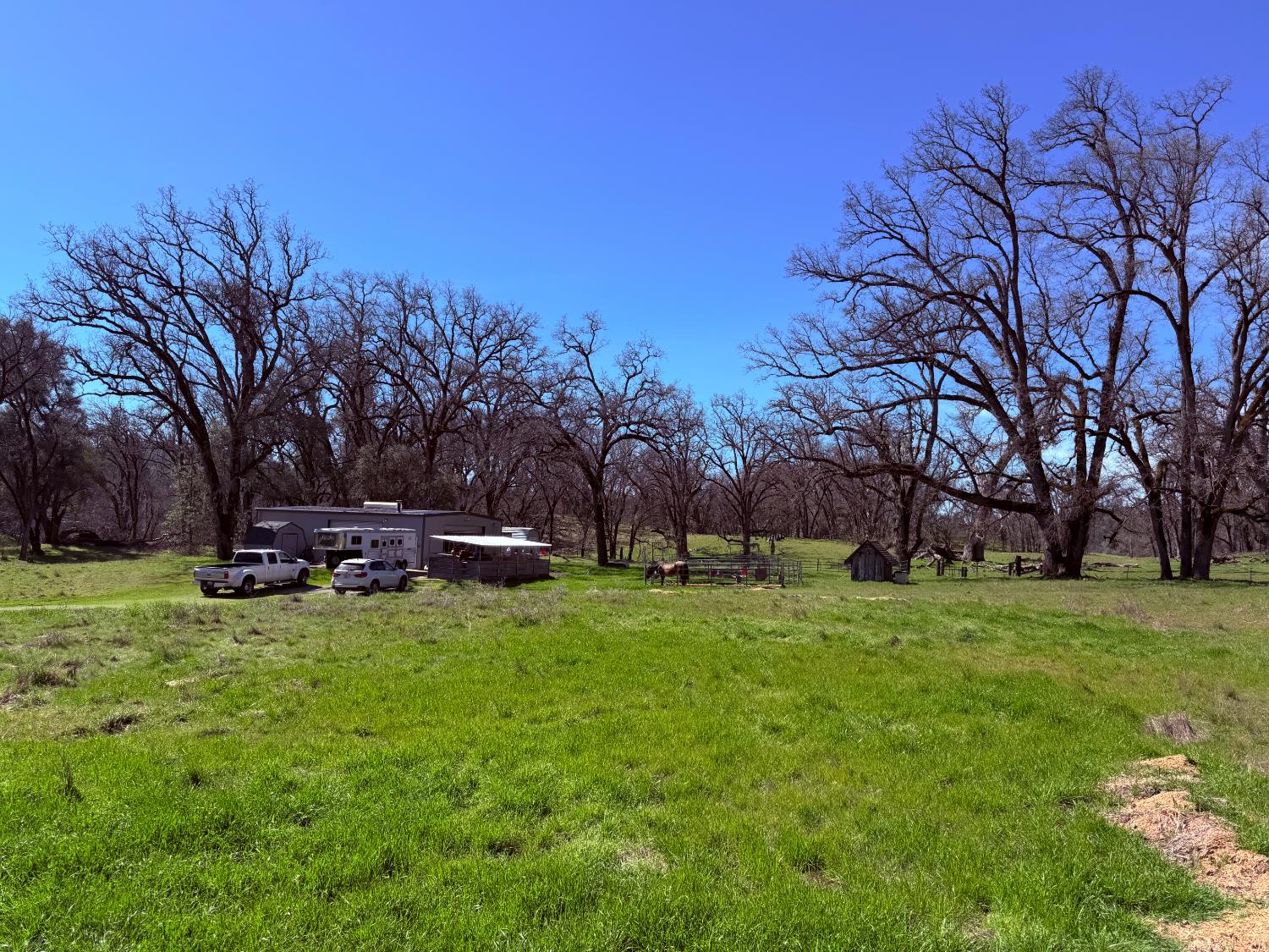 2901 Cedar Creek Road Somerset, CA 95684 - Photo 31 of 56 a view of a park with large trees