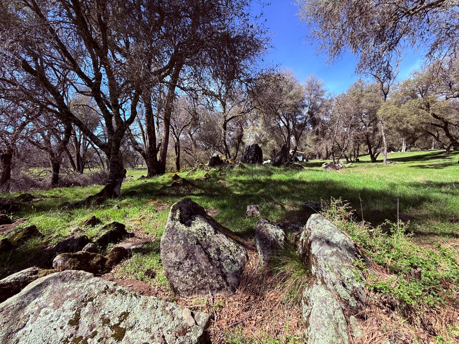 2901 Cedar Creek Road Somerset, CA 95684 - Photo 33 of 56