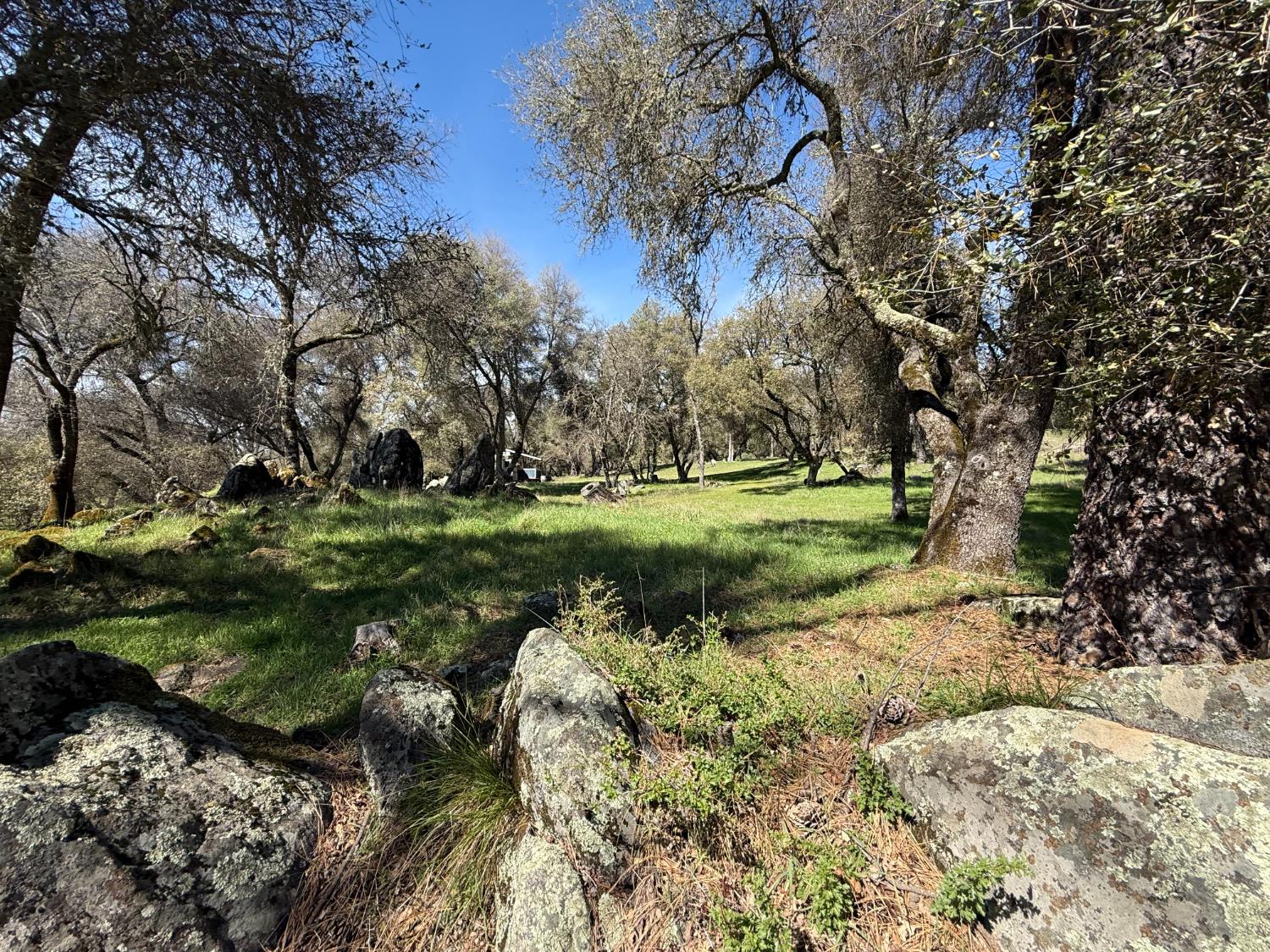 2901 Cedar Creek Road Somerset, CA 95684 - Photo 34 of 56 a backyard of a house with a yard and outdoor seating