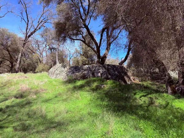 $600,000 | 2901 Cedar Creek Road, Somerset, CA 95684