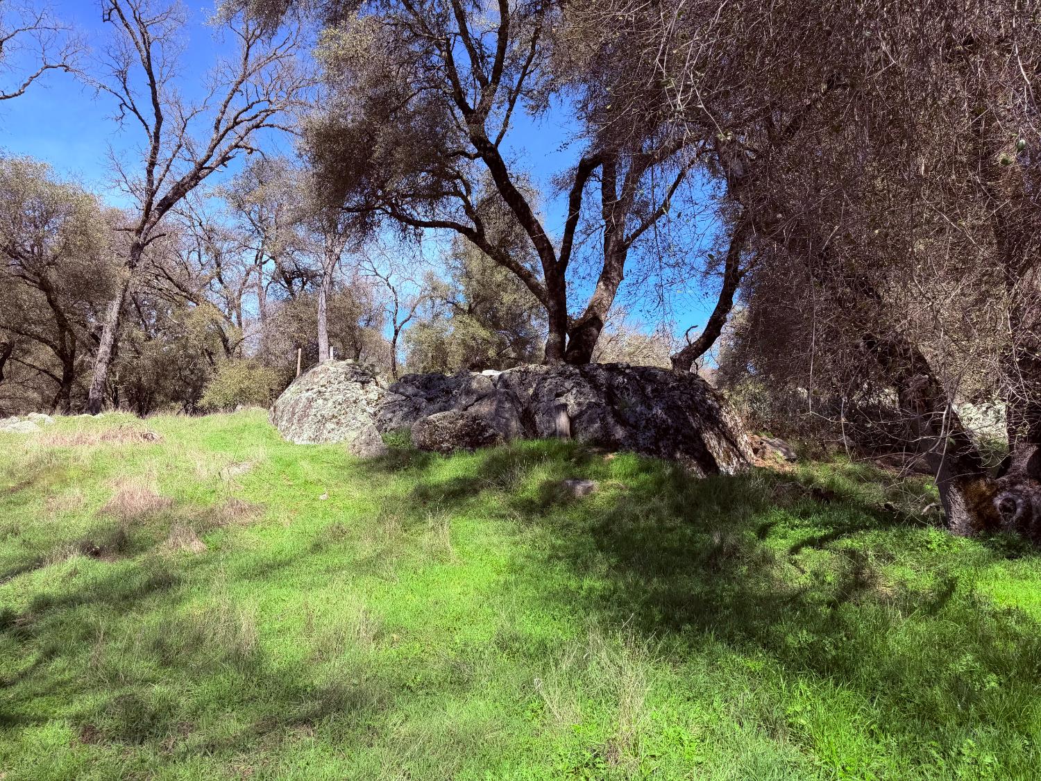 2901 Cedar Creek Road Somerset, CA 95684 - Photo 39 of 56