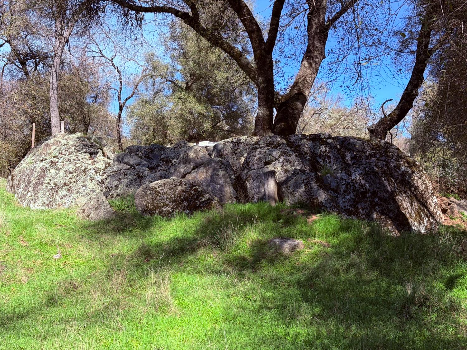 2901 Cedar Creek Road Somerset, CA 95684 - Photo 40 of 56 a backyard of a house with lots of green space