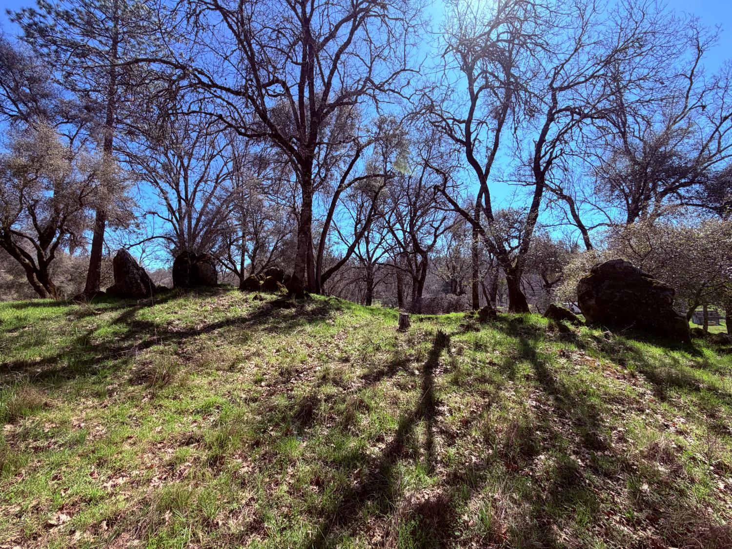 2901 Cedar Creek Road Somerset, CA 95684 - Photo 41 of 56 a view of yard covered with snow in outdoor space