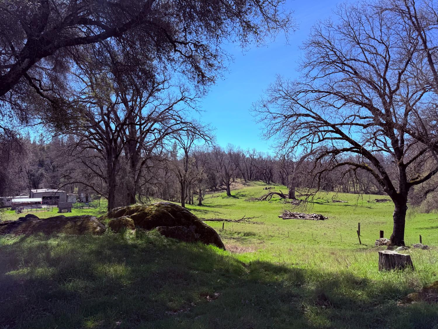 2901 Cedar Creek Road Somerset, CA 95684 - Photo 45 of 56 a backyard of a house with a yard and outdoor seating