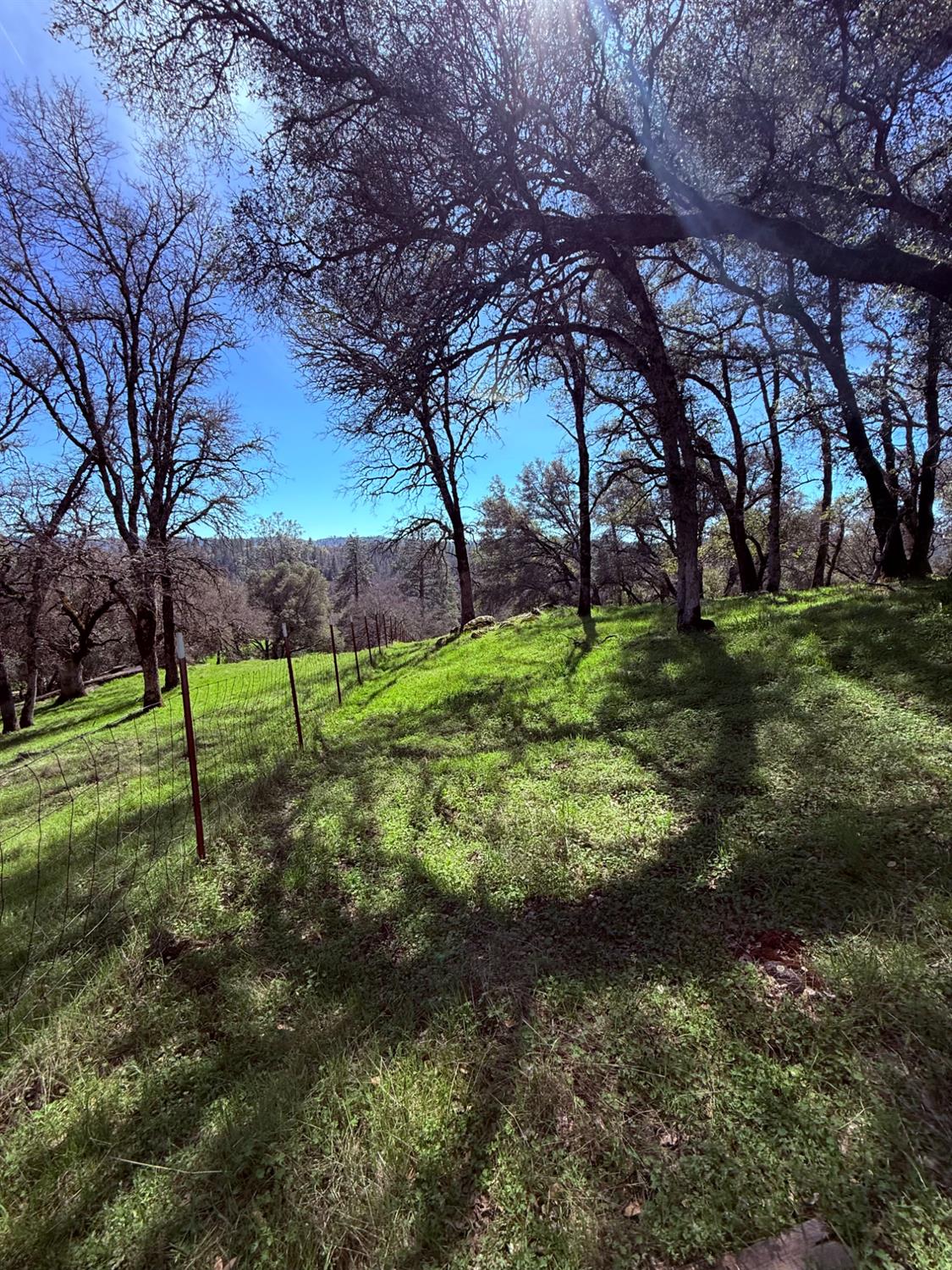 2901 Cedar Creek Road Somerset, CA 95684 - Photo 47 of 56