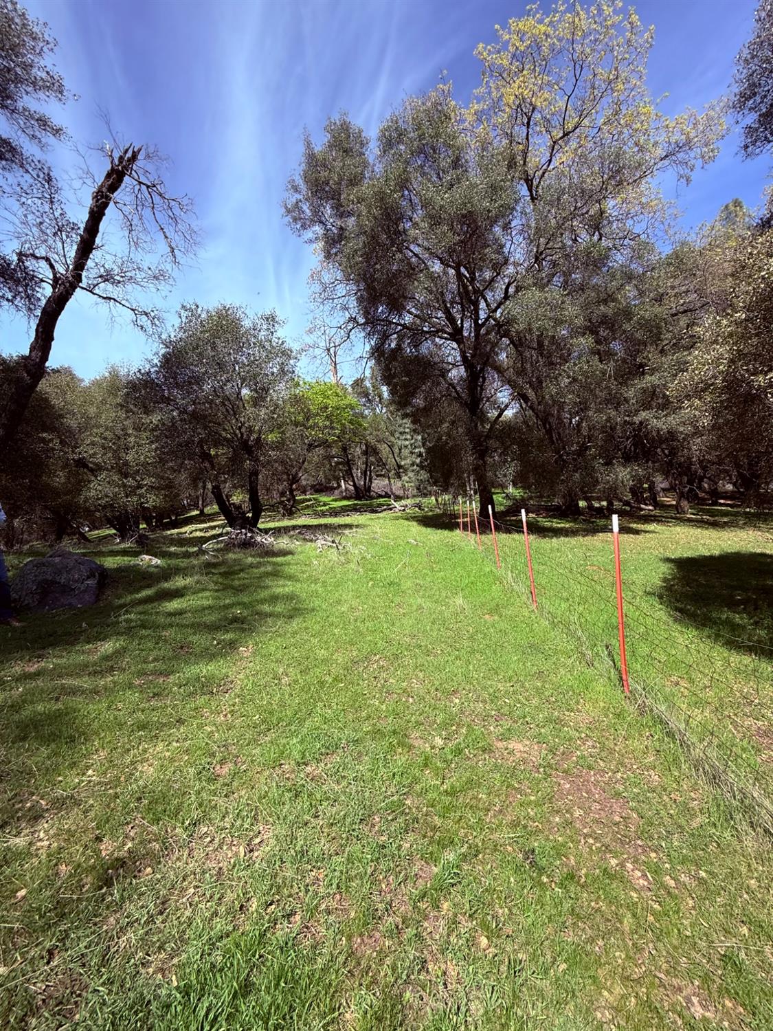 2901 Cedar Creek Road Somerset, CA 95684 - Photo 48 of 56