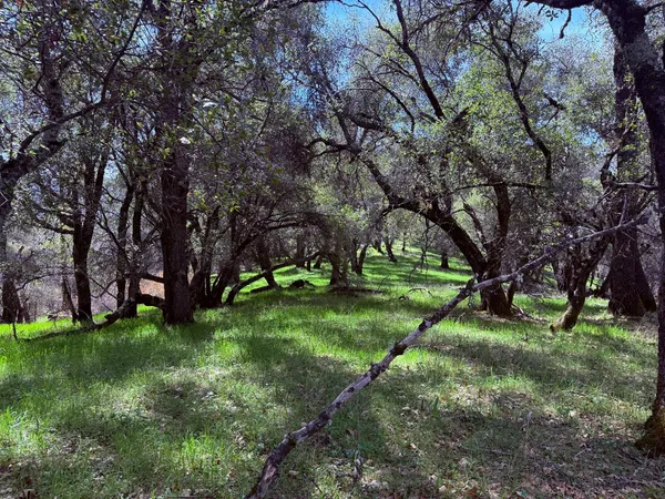 $600,000 | 2901 Cedar Creek Road, Somerset, CA 95684