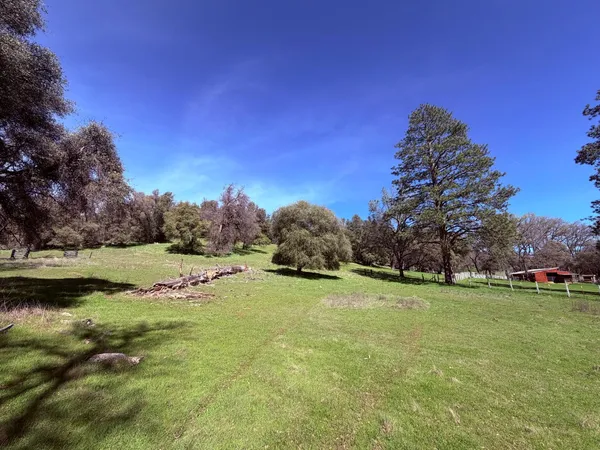 a view of outdoor space with trees