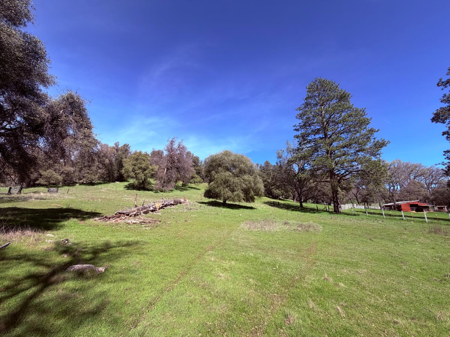 2901 Cedar Creek Road Somerset, CA 95684 - Photo 5 of 56 a view of a field with trees in the background