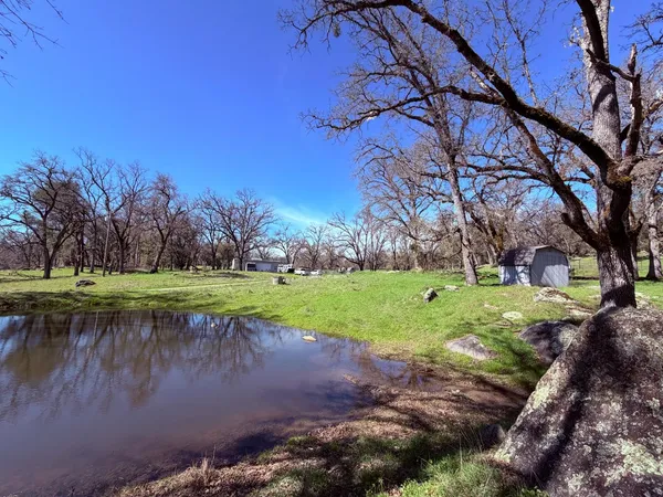 a view of a park with large trees