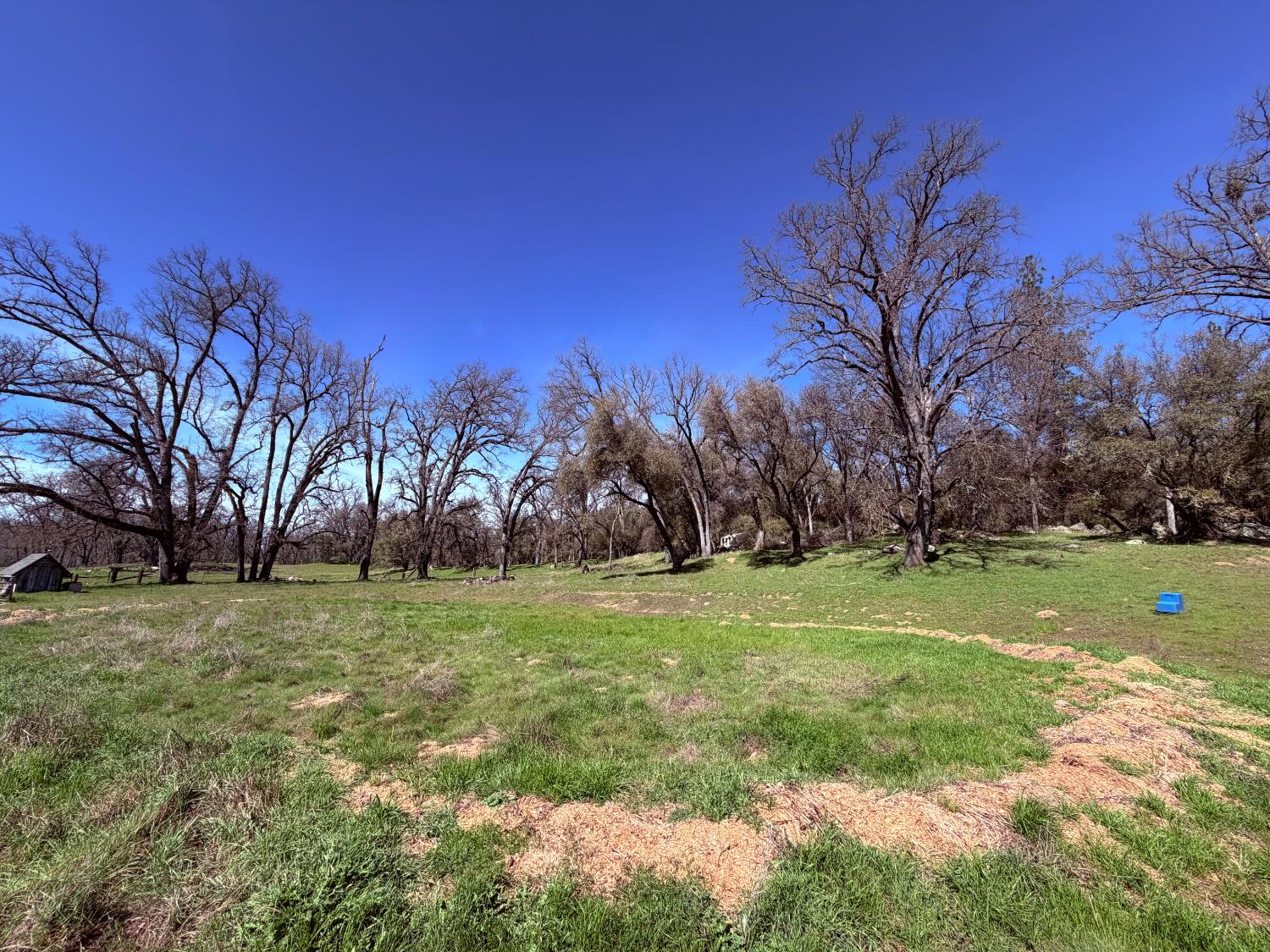 2901 Cedar Creek Road Somerset, CA 95684 - Photo 7 of 56