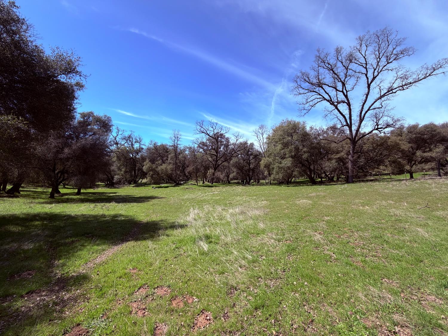 2901 Cedar Creek Road Somerset, CA 95684 - Photo 8 of 56