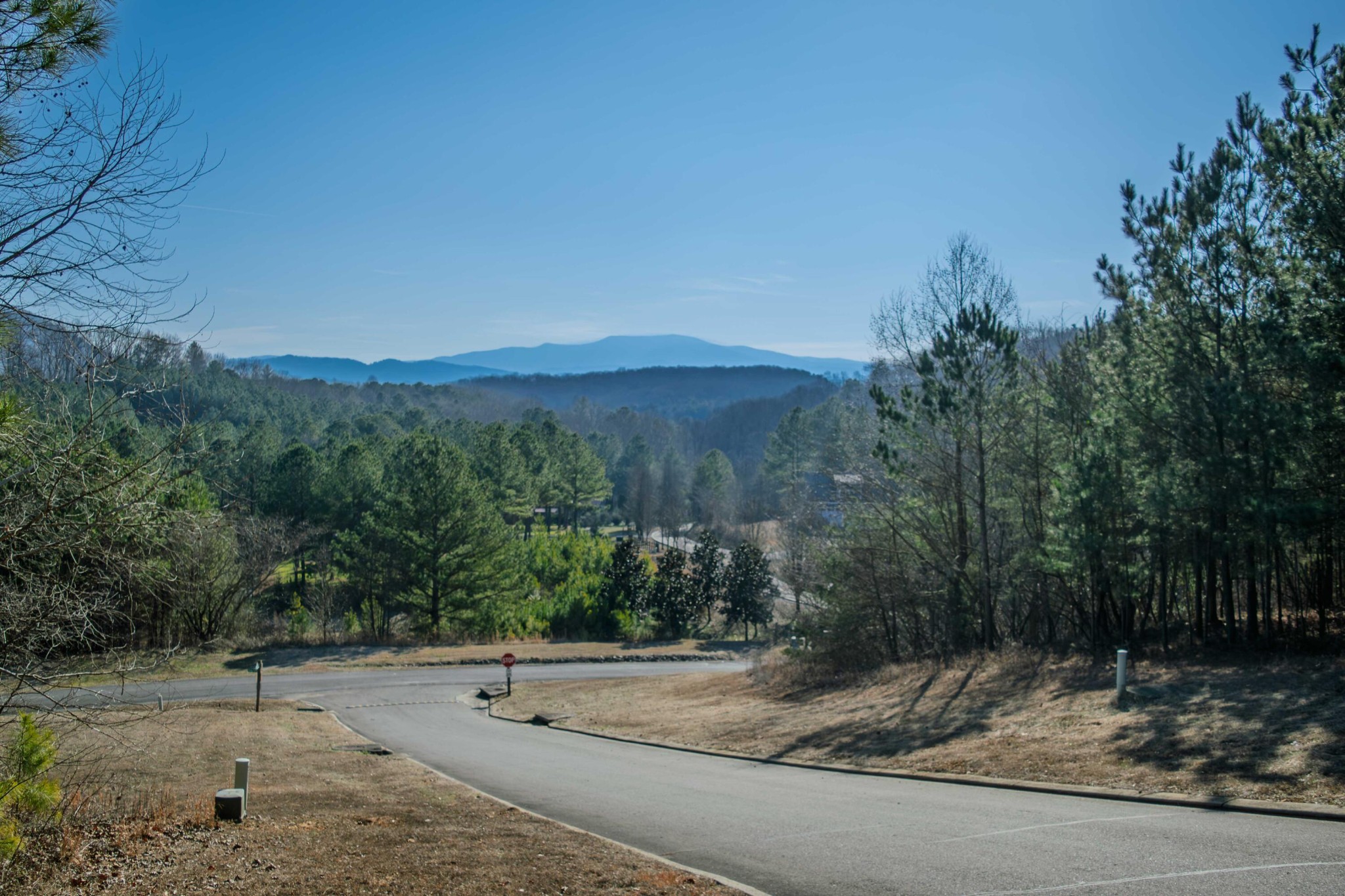 109 Cherokee Ridge Drive Ocoee, TN 37361 - Photo 12 of 22 a view of a road with a bench in the background